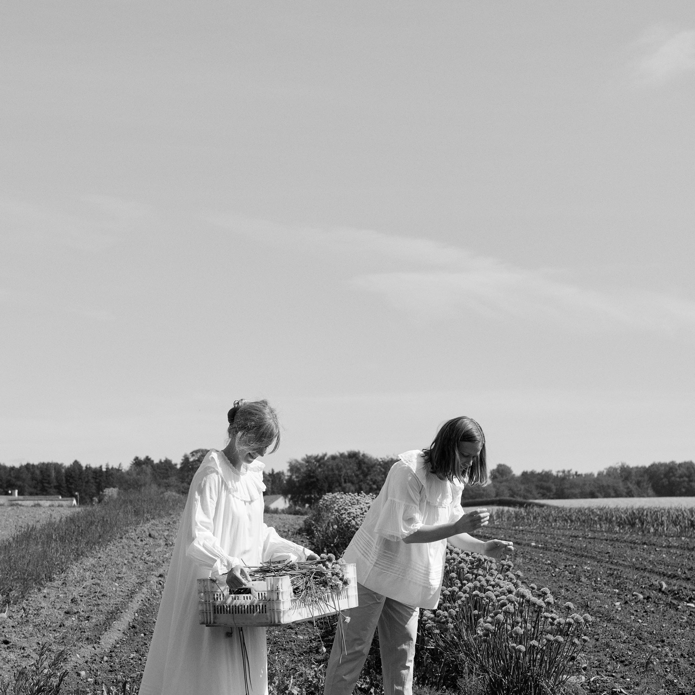 Skall letter No. 35 - Line Bak and Kamilla Rønnestad