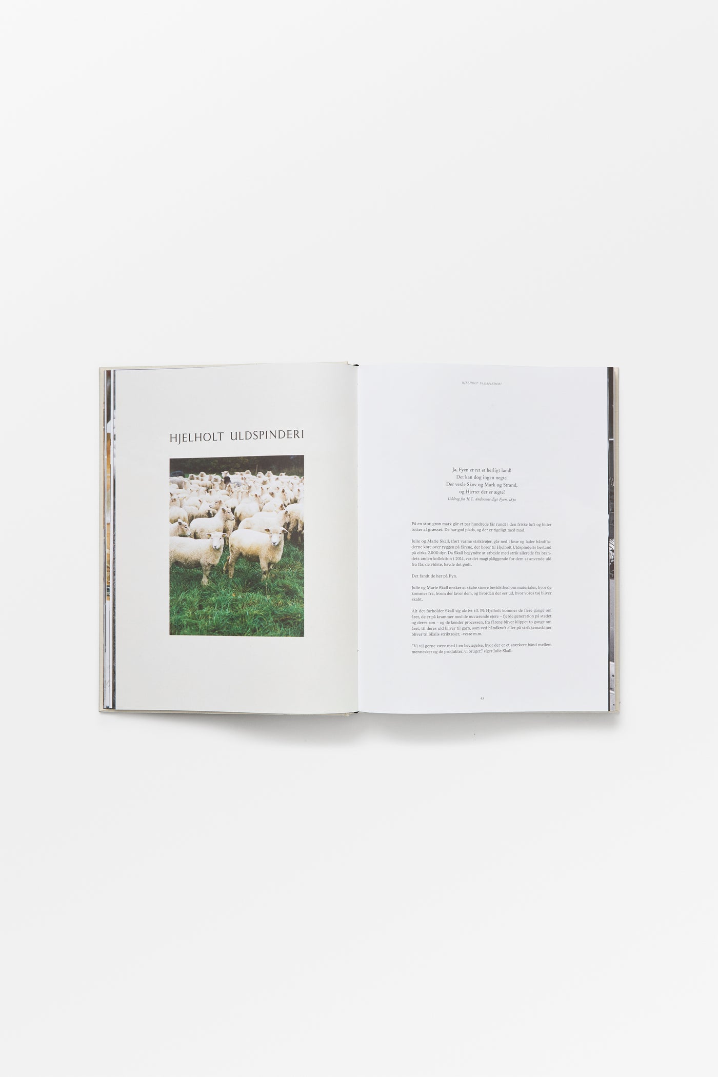 Skall Studio SKALL STRIK, bog Danish Book Danish